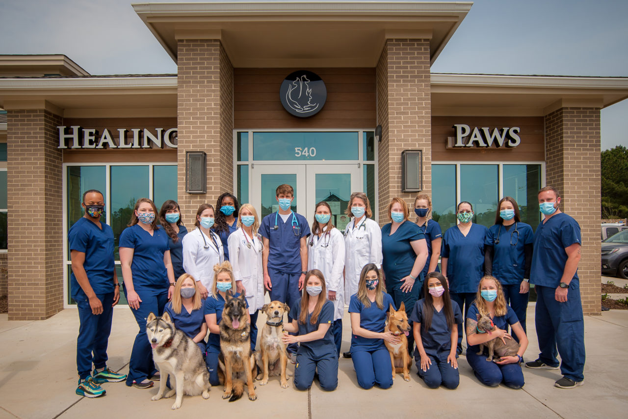 Healing Paws Veterinary Hospital Hillsborough, NC Animal Hospital