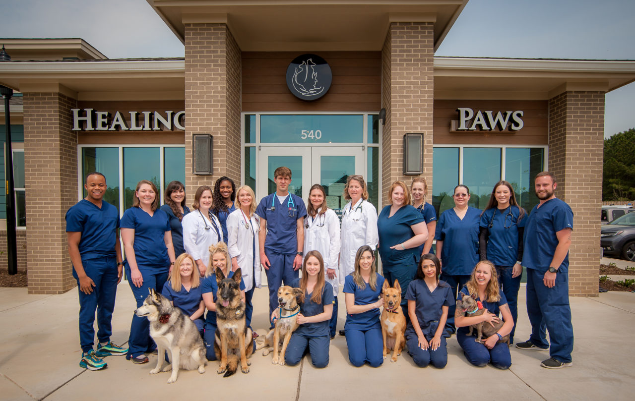 Who We Are Healing Paws Veterinary Hospital